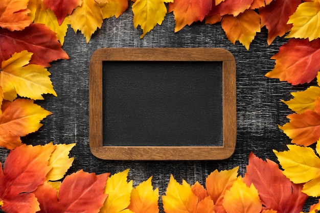 Top view colorful leaves and frame assortment