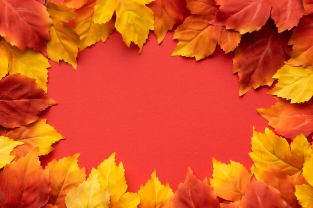 Top view colorful leaves frame