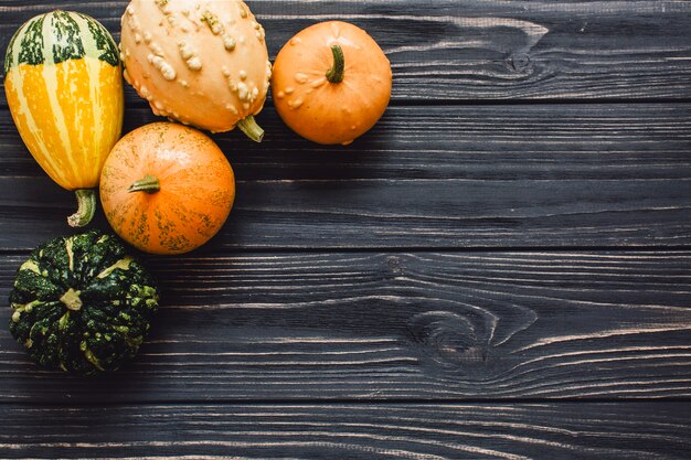 Top view of colorful pumpkins