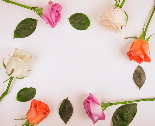 Top view of colorful roses isolated on white background with copy space