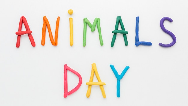 Foto gratuita vista dall'alto della scrittura colorata per il giorno degli animali