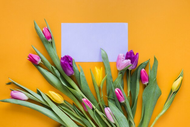 Вид сверху разноцветных тюльпанов с пустым листком бумаги