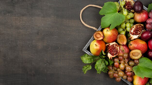 Top view composition of autumn fruits with copy space