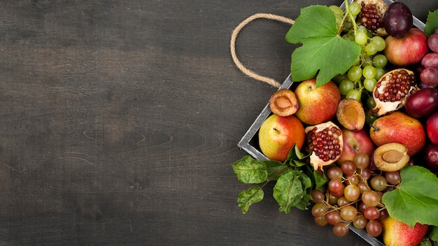 Top view composition of autumn fruits with copy space