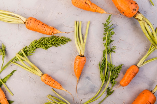 Free photo top view composition of carrots