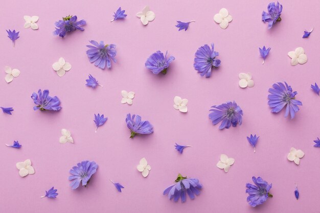 Top view composition of flowers