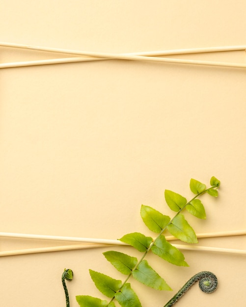 Top view composition of green leaves with copy space