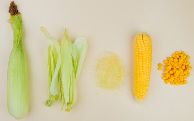 Top view of cooked uncooked corn with cooked corn kernels corn shell and corn silk on white surface