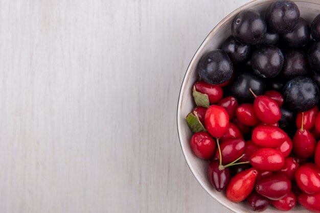 Top view  copy space dogwood with cherry plum in bowl on white background