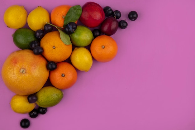 Top view  copy space fruit mix grapefruit  oranges  lemons  limes  plum  cherry plum and peach on pink background