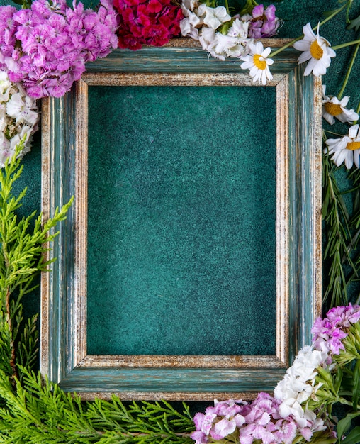 Top view copy space green-gold frame with fir branches and colorful flowers on the edges on green