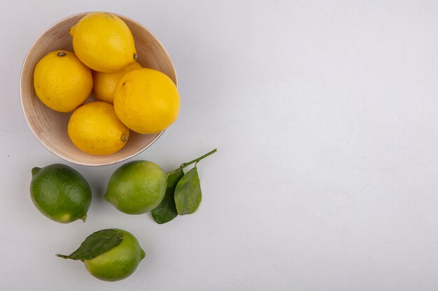 Top view  copy space lemons in bowl with limes on white background