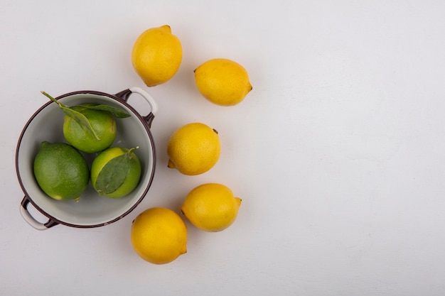 Foto gratuita vista dall'alto lo spazio della copia limette in una ciotola con limoni su sfondo bianco