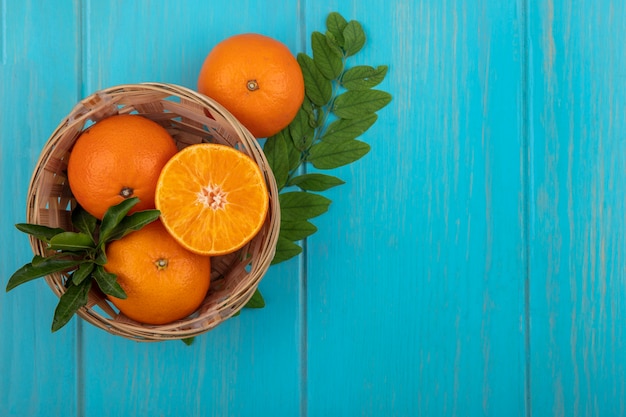 Top view  copy space oranges in a basket with a sprig of leaves on a turquoise background