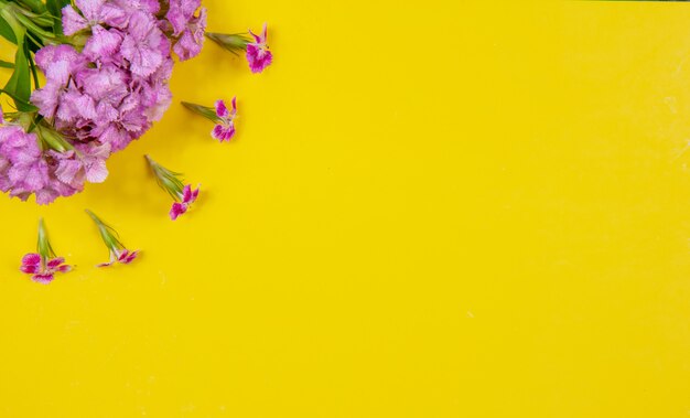 노란색 배경에 상위 뷰 복사 공간 핑크 꽃