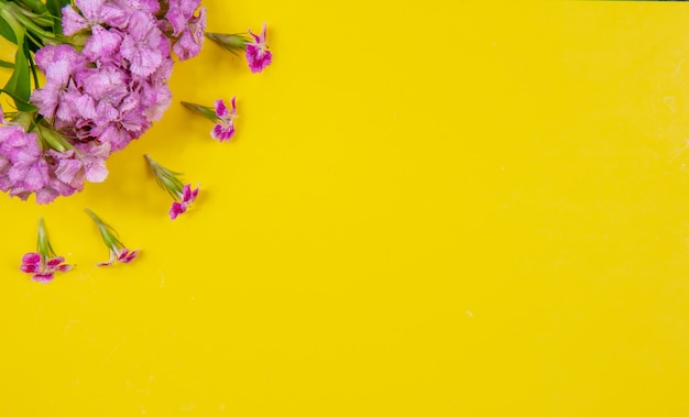 黄色の背景に平面図コピースペースピンクの花