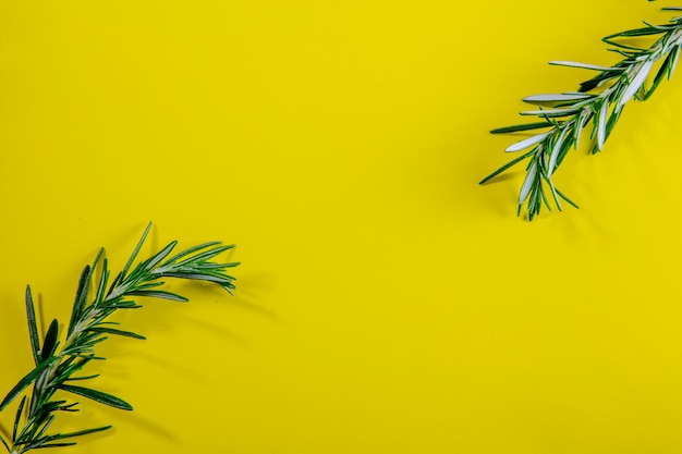 Top view copy space rosemary branches on a yellow background
