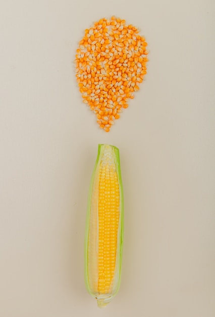 Top view of corn cob and corn seeds on white