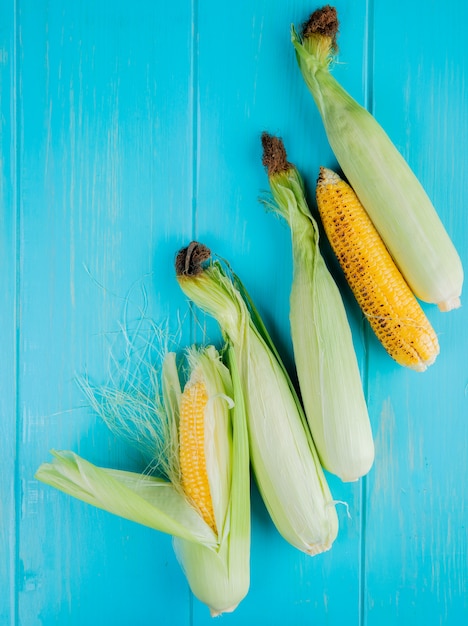 Top view of corn cobs on blue surface