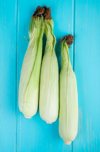 Free photo top view of corn cobs on blue surface