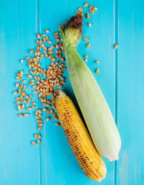 Top view of corn cobs and corn seeds on blue surface