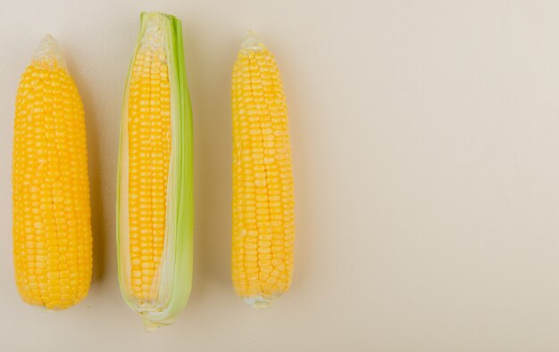 Вид сверху початков кукурузы на левой стороне и белый с копией пространства