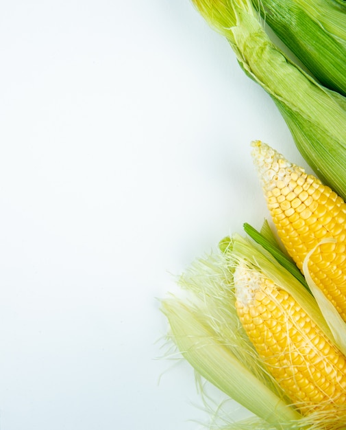 Top view of corn cobs on right side and white surface