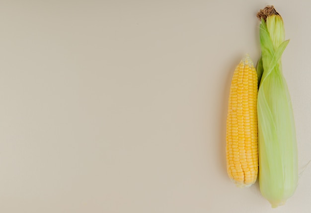 Free photo top view of corn cobs on right side and white with copy space