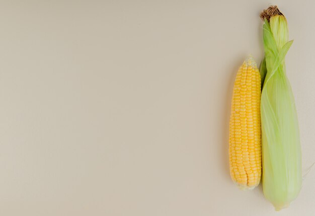 Top view of corn cobs on right side and white with copy space