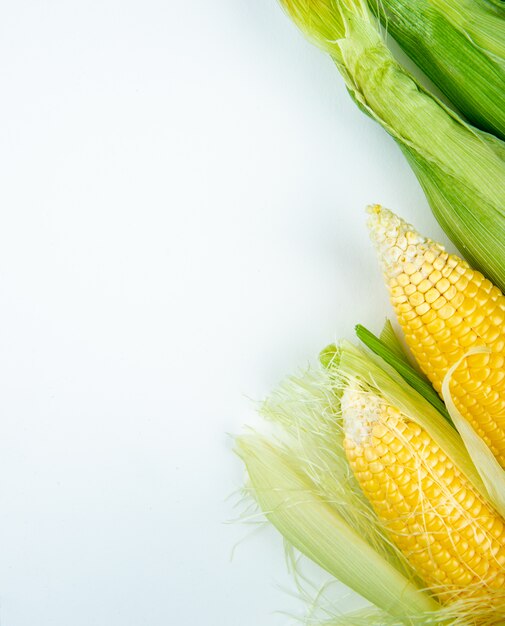 Top view of corn cobs on right side and white with copy space