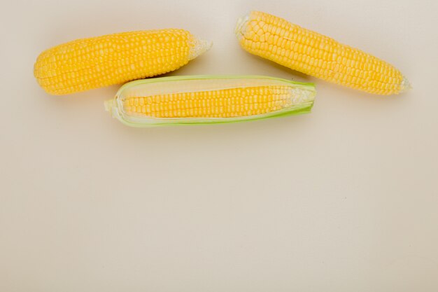 Top view of corn cobs on white with copy space