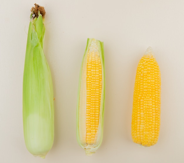 Top view of corn cobs on white