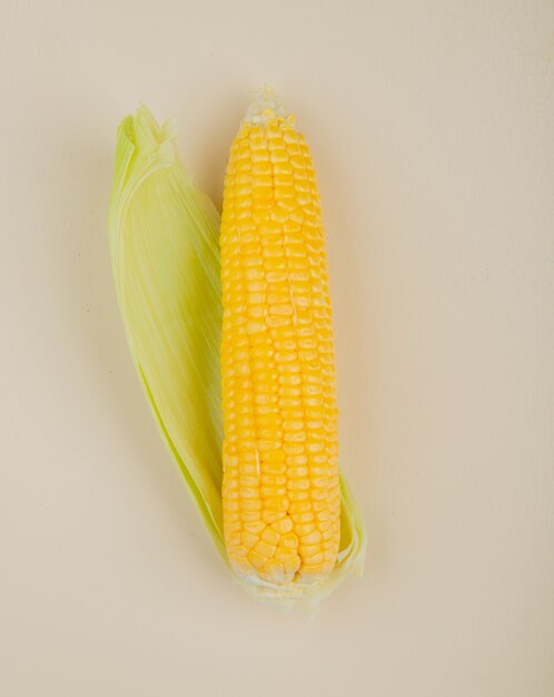 Top view of corn and its shell on white