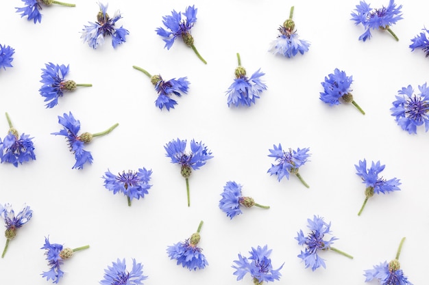 Top view cornflowers arrangement