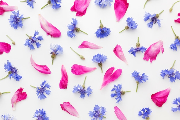 Top view cornflowers and pink petals