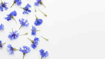 Free photo top view cornflowers with copy space