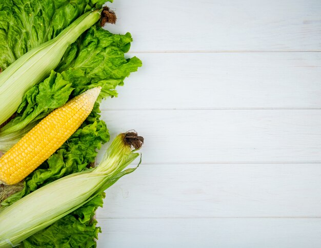 Top view of corns with lettuce on left side and white with copy space