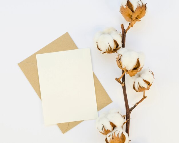 Top view cotton flowers and paper