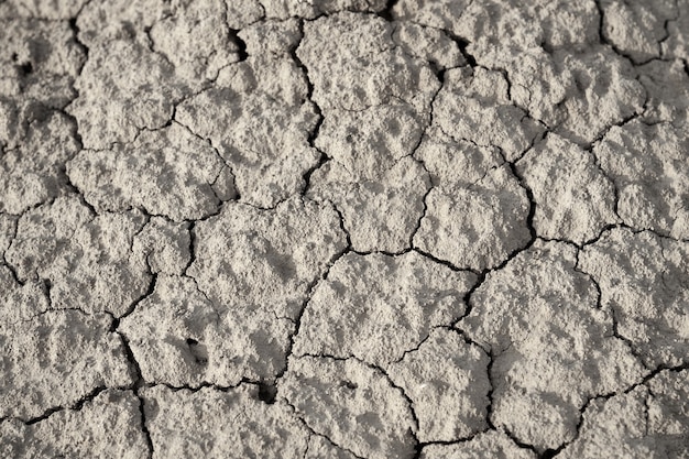 Top view cracked dry ground texture.