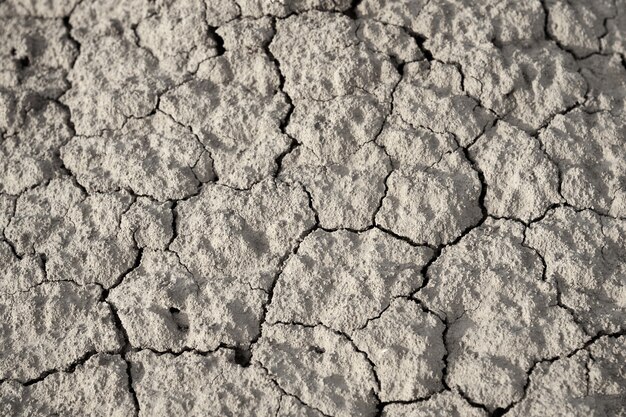 Top view cracked dry ground texture.