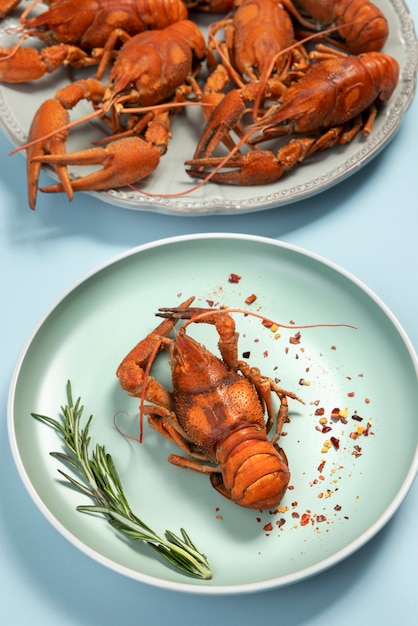 Top View of Crawfish in Plates – Free Download
