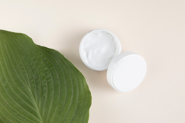 Top view of cream and leaf on plain background 