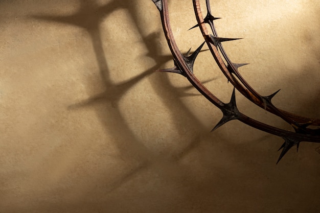 Free photo top view crown of thorns with copy space