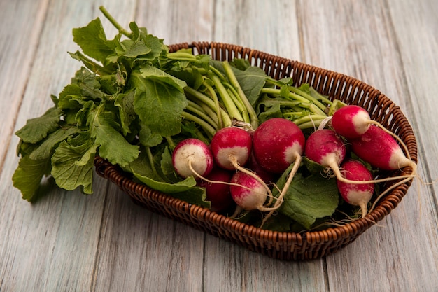 Top view of crunchy root vegetable radishes on a bucket with leaves on a grey wooden surface