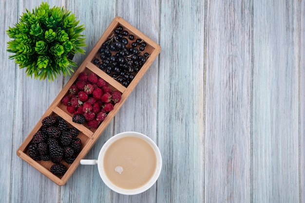 Top view of cup of cappuccino with blackcurrant raspberries and blackberries on a stand on a gray surface