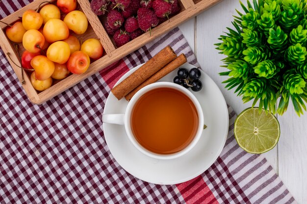 Top view of cup of tea with cinnamon blackcurrant raspberries and white cherries on a red checkered towel