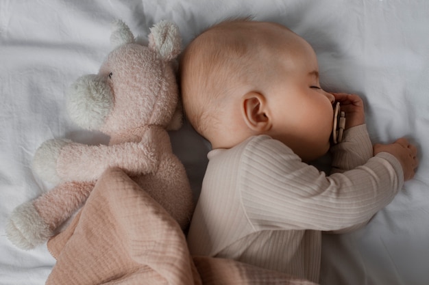 Free photo top view cute baby with stuffed animal