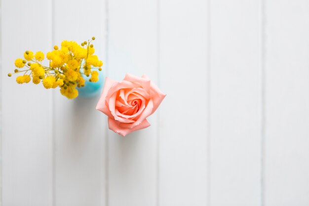 Top view of cute flowers on white surface