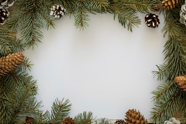 Top view cute winter pine needles white copy space