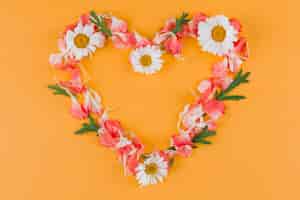 Free photo top view daisies heart frame